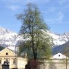 Mariazell_Weng_Admont_Ennstal_034